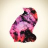Vincent Xie profil fotoğrafı