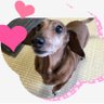 ponron's profile picture