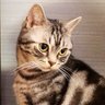 Profilbild von Mmm