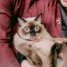 Profilbild von Khanza