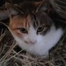 yuumask profil fotoğrafı