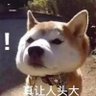 damon 的头像