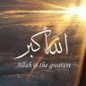 U_S_A's profile picture