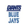 Big Blue Jays profil fotoğrafı