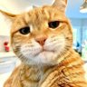 Dimitry profil fotoğrafı