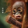 山匪 profil fotoğrafı