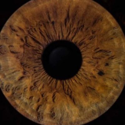 👁's profile picture