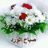 Eng.Osama Ahmad 的头像