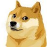 doge foxy's profile picture