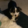 Profilbild von Zeadriss