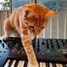 Low Frequency Oscillator 的头像