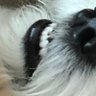 Profilbild von Ruth’s Potty Mouth