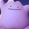 Profilbild von DITTO '-'