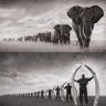 Okoth II, Omondi 的头像