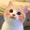EH_OVO_ช佩😍 的头像