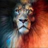 Brian Jenkins's profile picture
