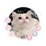Фото профиля rin😺 || open cv shopeepay spay dana gopay