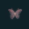 Butterfly 🦋's profile picture