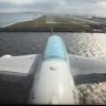Captain Flying Honu's profile picture