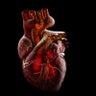 Profilbild von heart