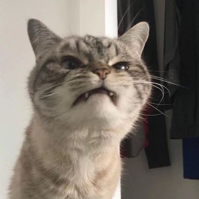 _KNN_'s profile picture