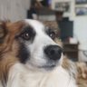 Просто Джим profil fotoğrafı