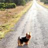 Esther_cilla profil fotoğrafı