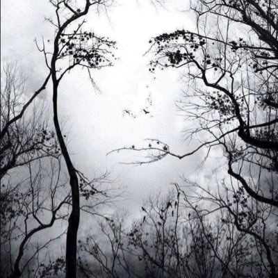 Mcallisternbn's profile picture