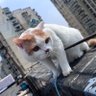 whujjq's profile picture