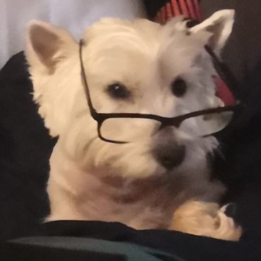 wistie3's profile picture