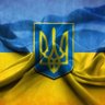 Фото профиля Dima