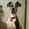 Thomas's profile picture