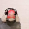 Profilbild von ぼぉんぶんち