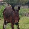 solsito profil fotoğrafı