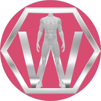 metaweartoken's profile picture