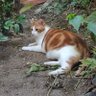 Ricardo Dias profil fotoğrafı