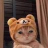 Profilbild von AF