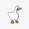 Ghisky's profile picture