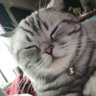 Profilbild von rROB