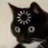 胖胖's profile picture