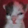 Profilbild von goose🏳️‍🌈🇲🇽