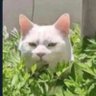 نجد 的头像