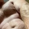 Фото профиля muskyginge
