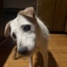 Theta 的头像