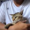 mantan sekdes profil fotoğrafı