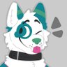 Qimmiq's profile picture
