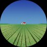 ɟᴉzv's profile picture