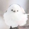 Profilbild von コレステ