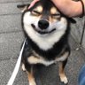Profilbild von Mike