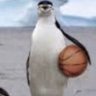 ? profil fotoğrafı